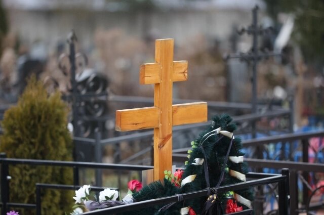    Фото: www.globallookpress.com/  Belkin Alexey/news.ru