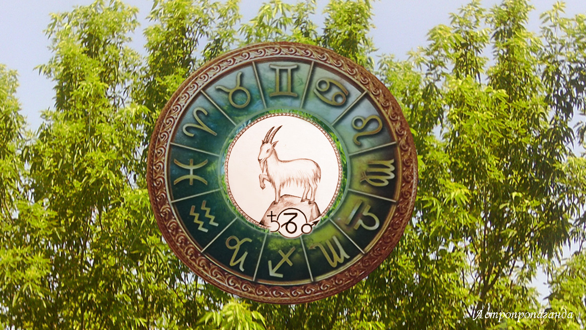 Гороскоп для Козерога со 2 по 29 июня 2025. 