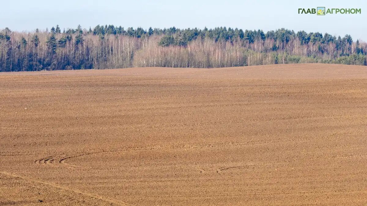 Фото: © Виталий Рыбалко / Glavagronom.ru
Создана компактная система экологического мониторинга на биоэлектричестве