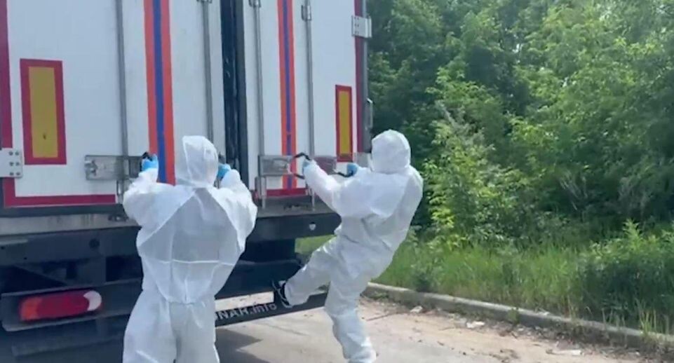    Telegram/Скриншот видео / Пресс-служба Минобороны