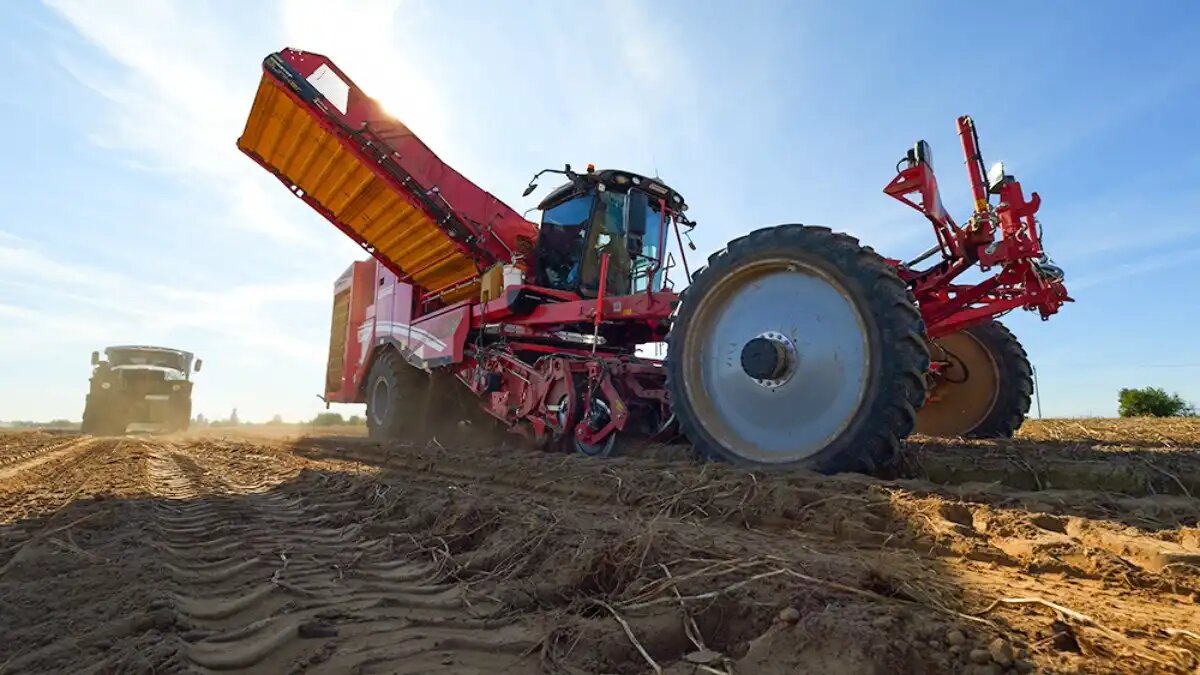 Фото:dokagene.ru
Уборка картофеля на полях «Дока-Генные Технологии»