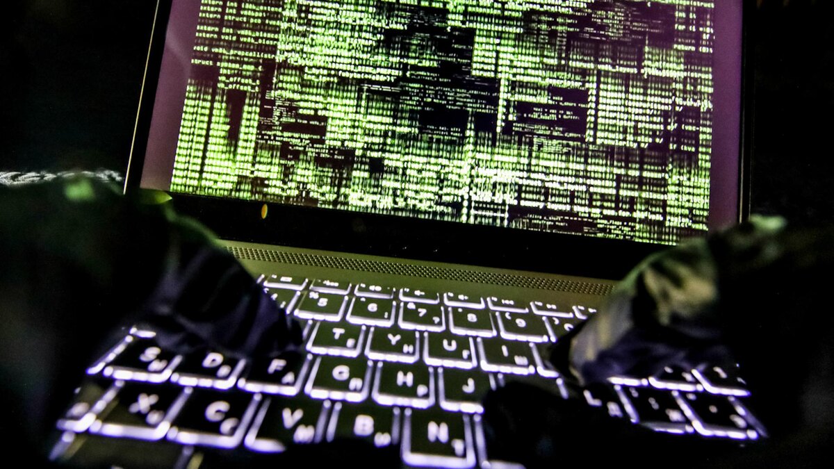    Фото: Lantyukhov Sergey/news.ru