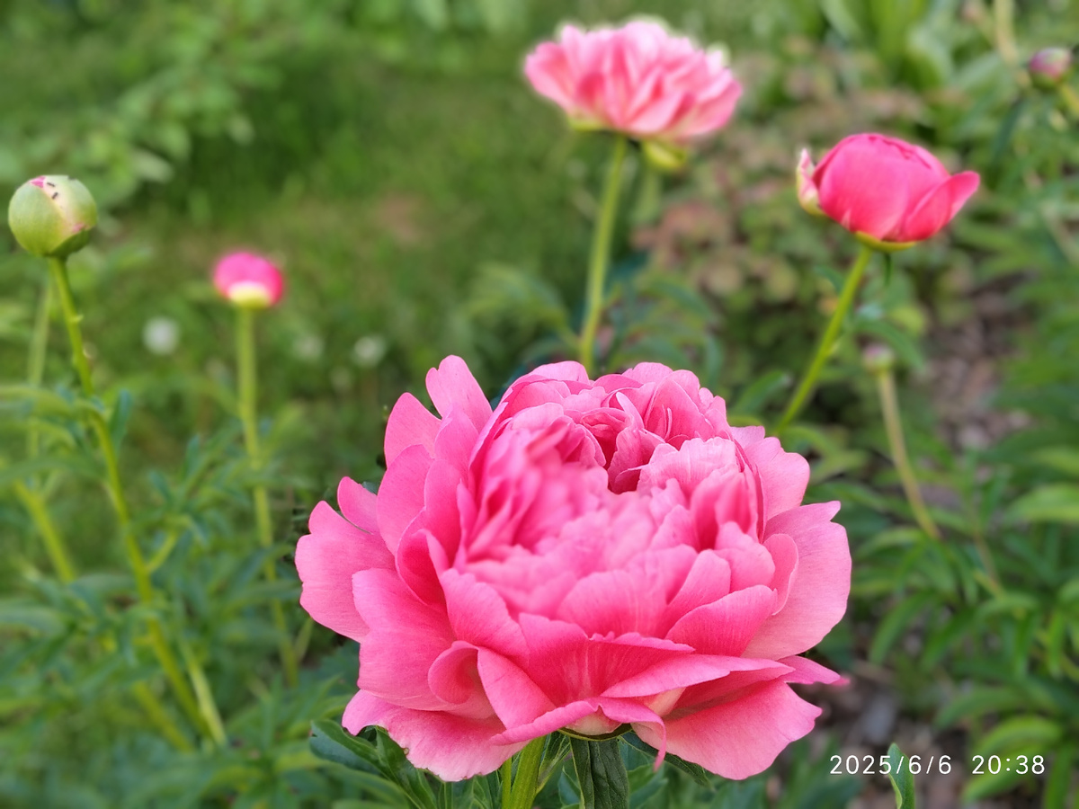 Мои фотографии