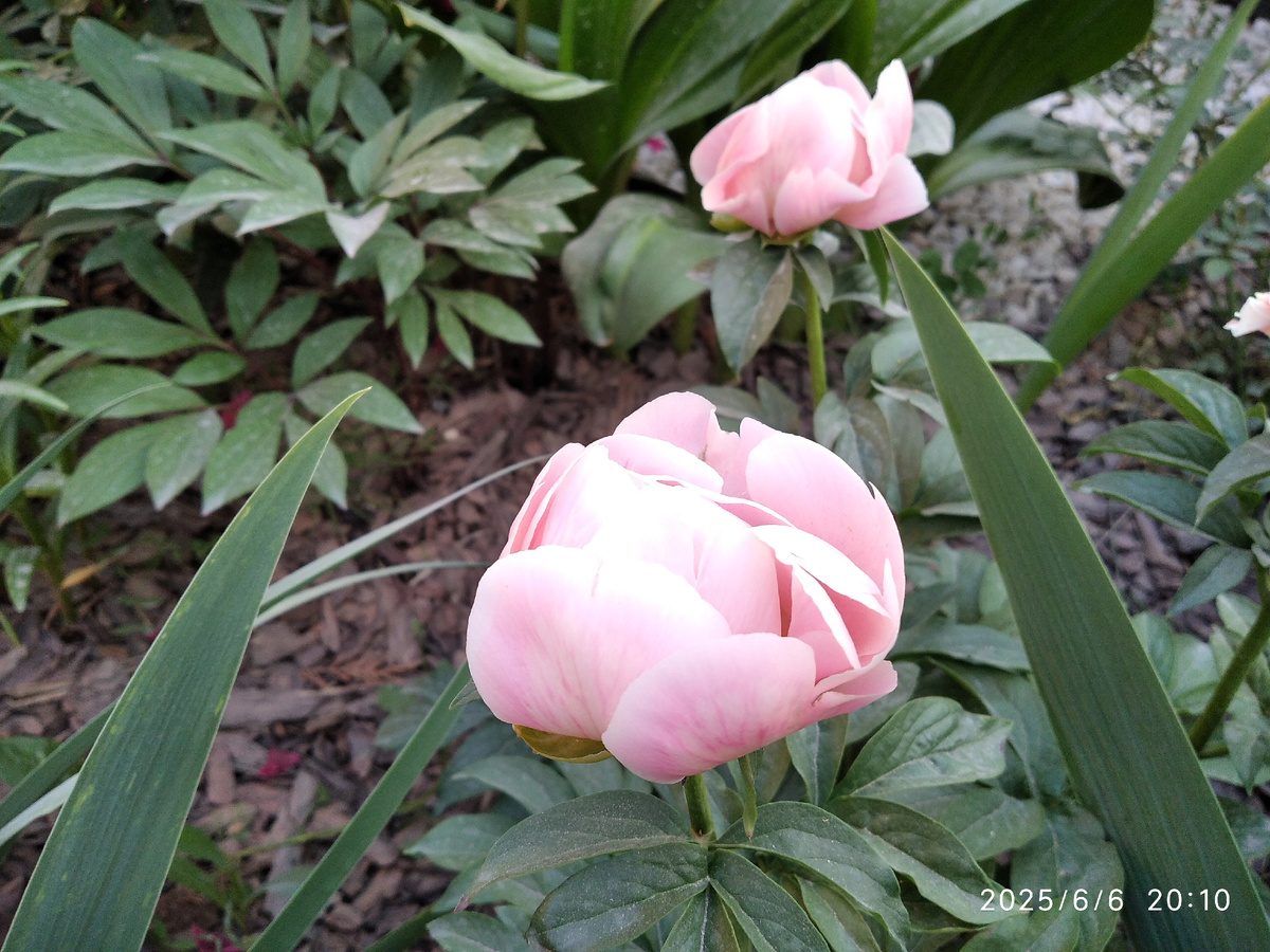 Мои фотографии