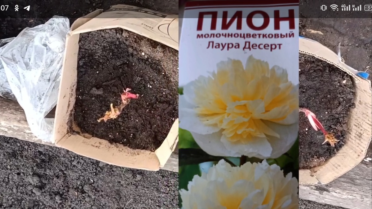 Что обещали. Фото осень 2023 год