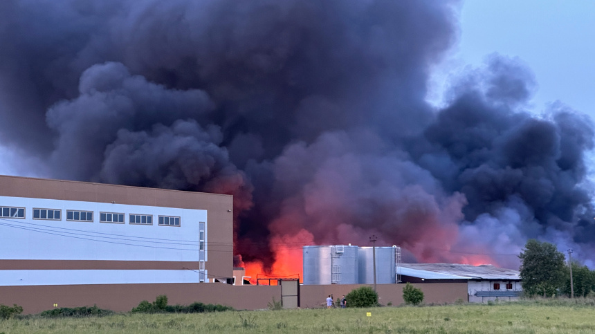    Фото: ИЗВЕСТИЯ/Зарина Рахманова; 5-tv.ru