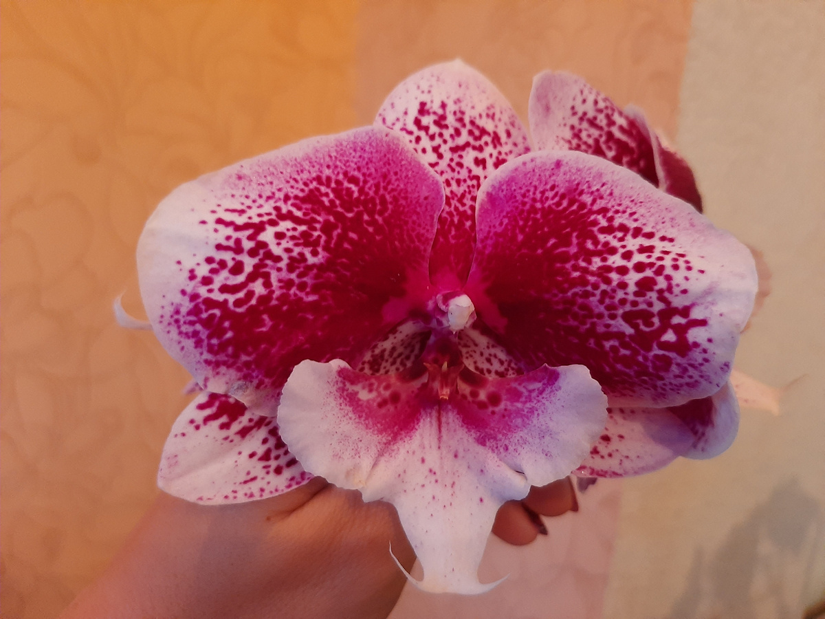 Обложка статьи. Архивное фото