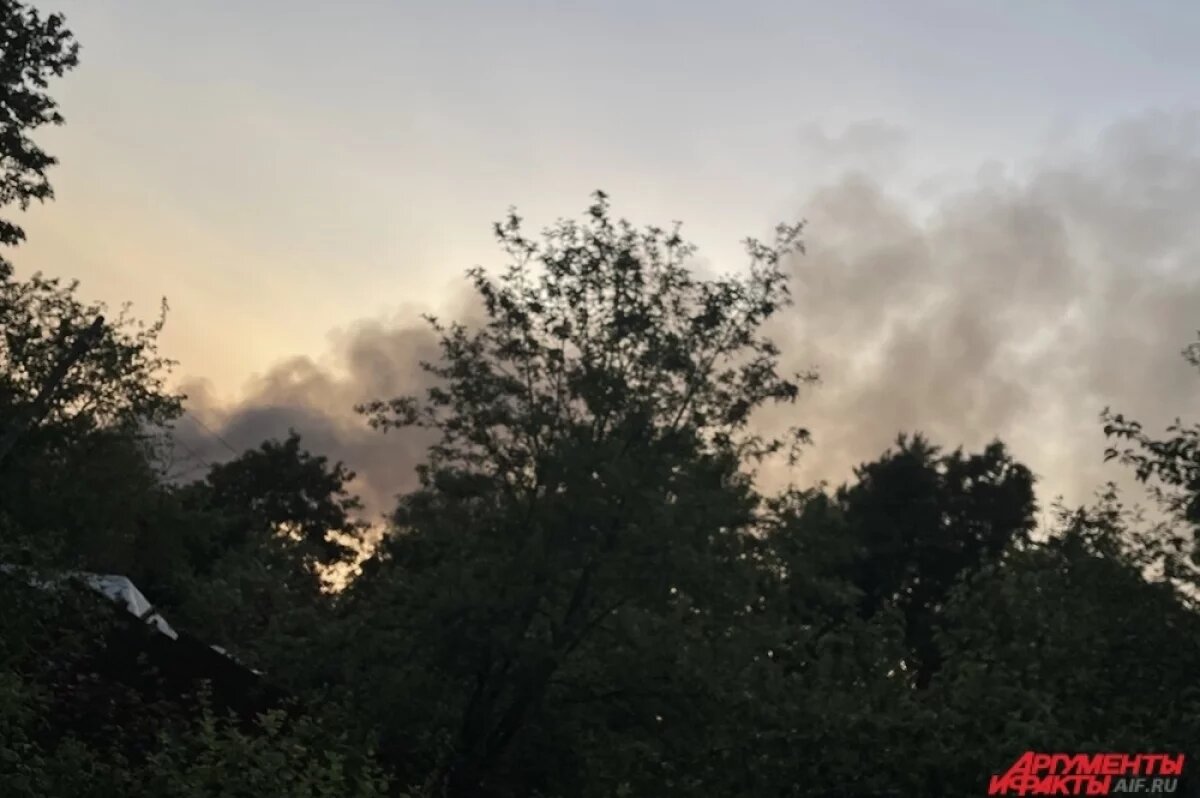    Пожар в Пушкине 7 июня.