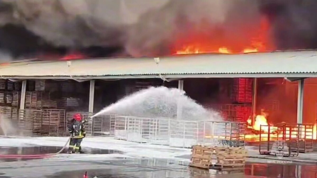    Кадр видео канала МЧС России/t.me