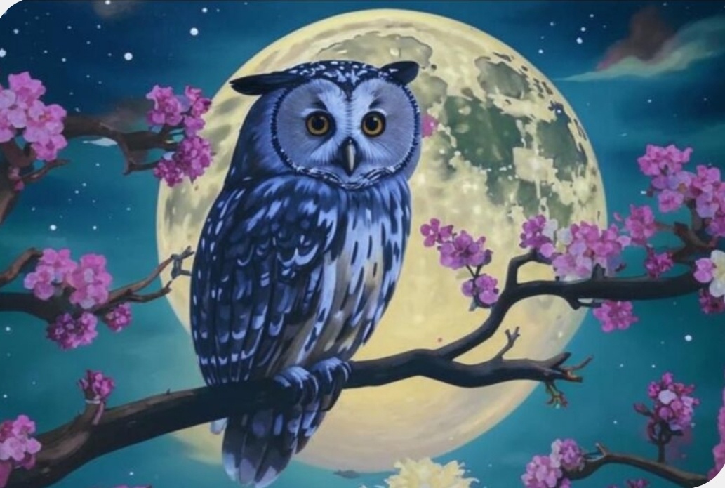 Фото с простор интернета 