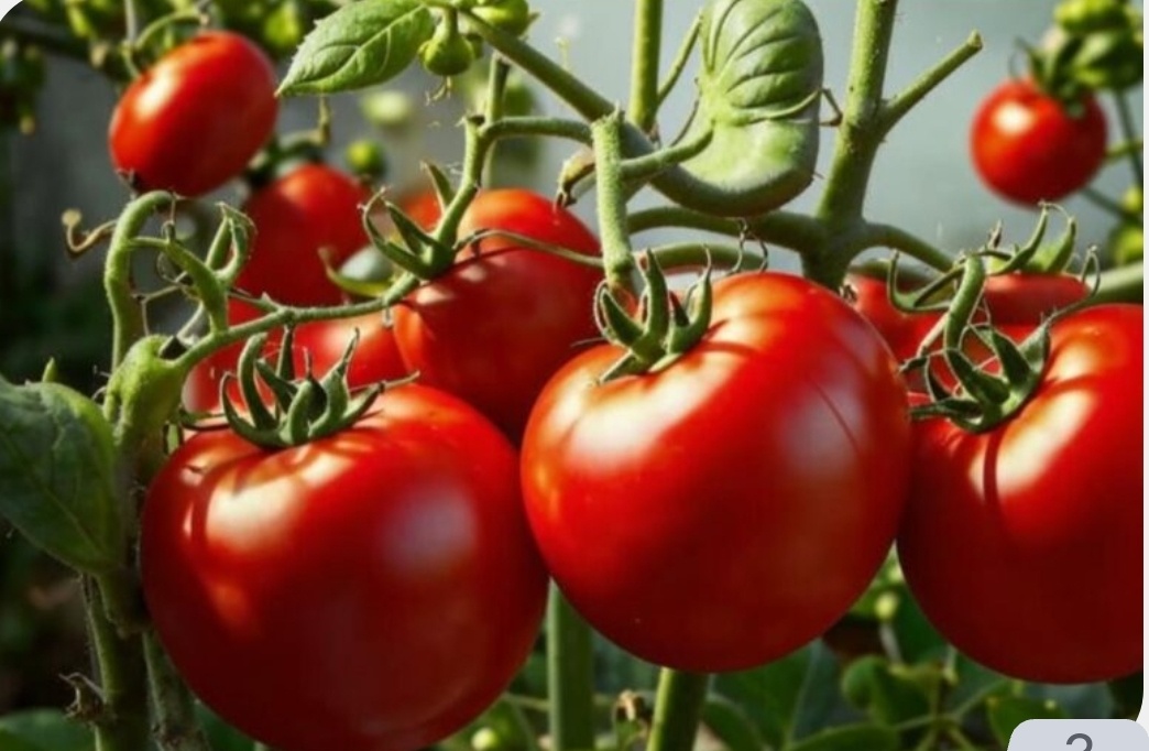 Фото с простор интернета 