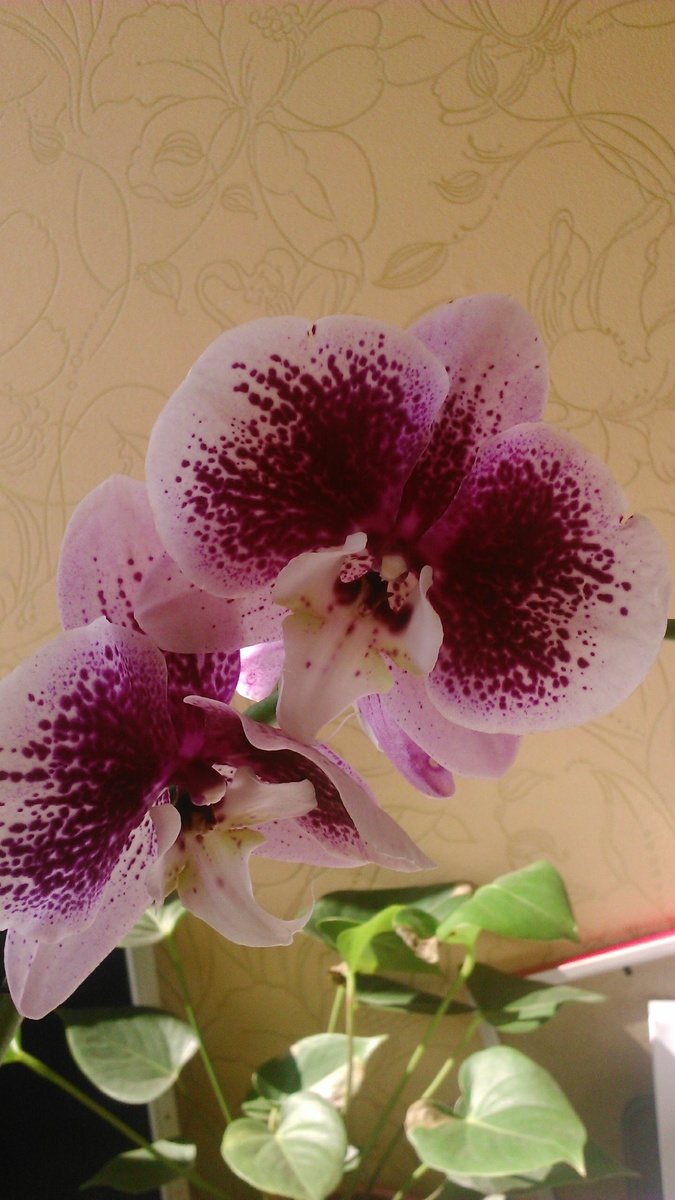 Обложка статьи. Архивное фото