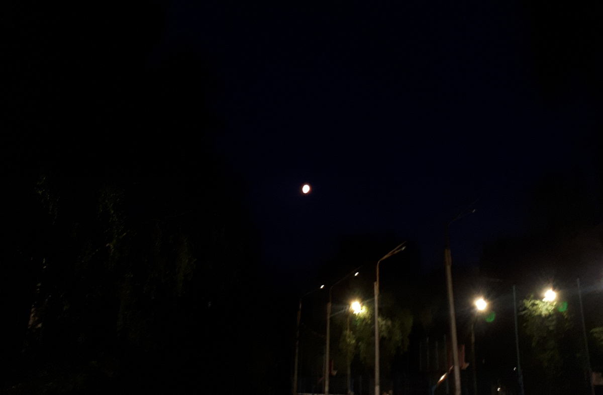 Фото автора статьи. 07.06.2025г.