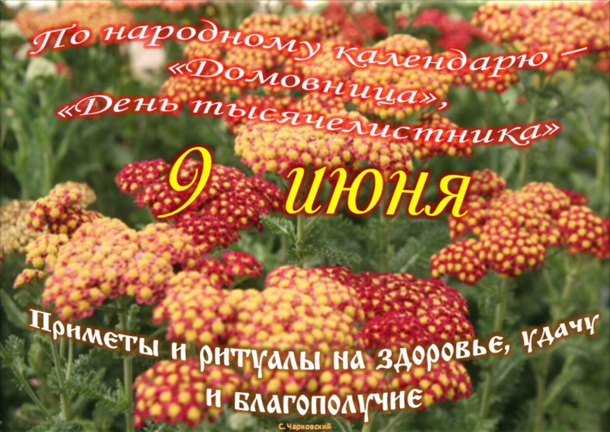 Встречаем новый день