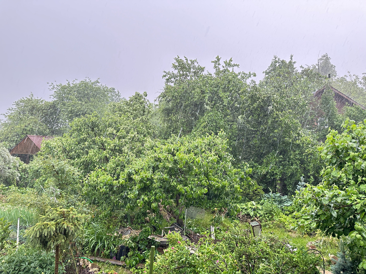 Статичная картина не передает динамики, жути и восторга происходящего. Но все это есть/было.