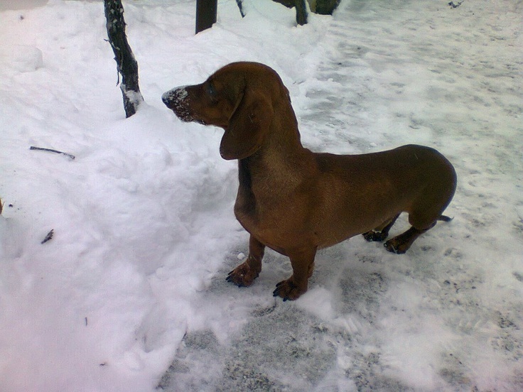 Погружаюсь в новый белоснежный мир