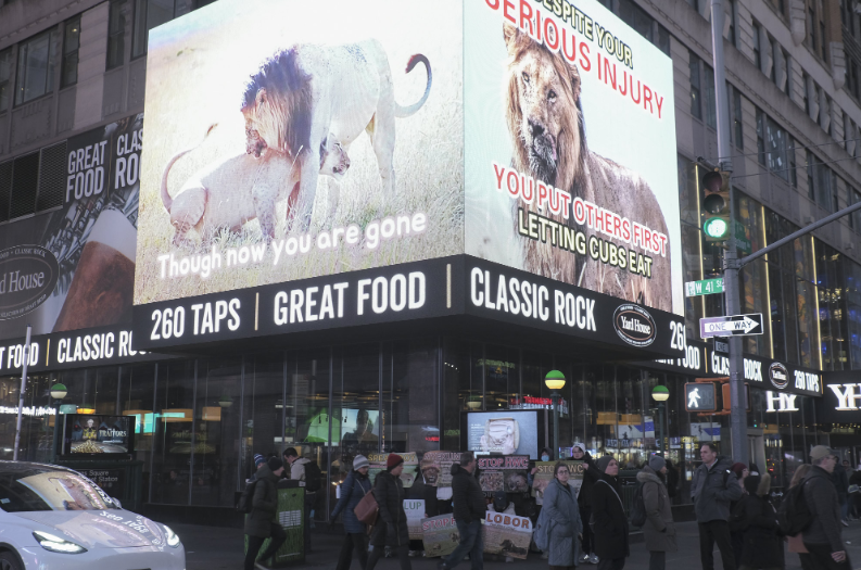Что бы ни случилось - всегда выкупай билборд в Нью-Йорке