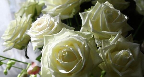    РИА «Новости»