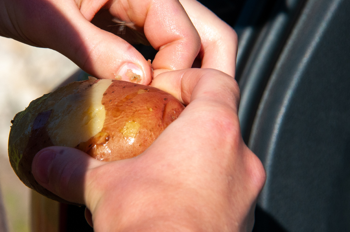 Фото: © Svetlana Vozmilova/ Global Look Press