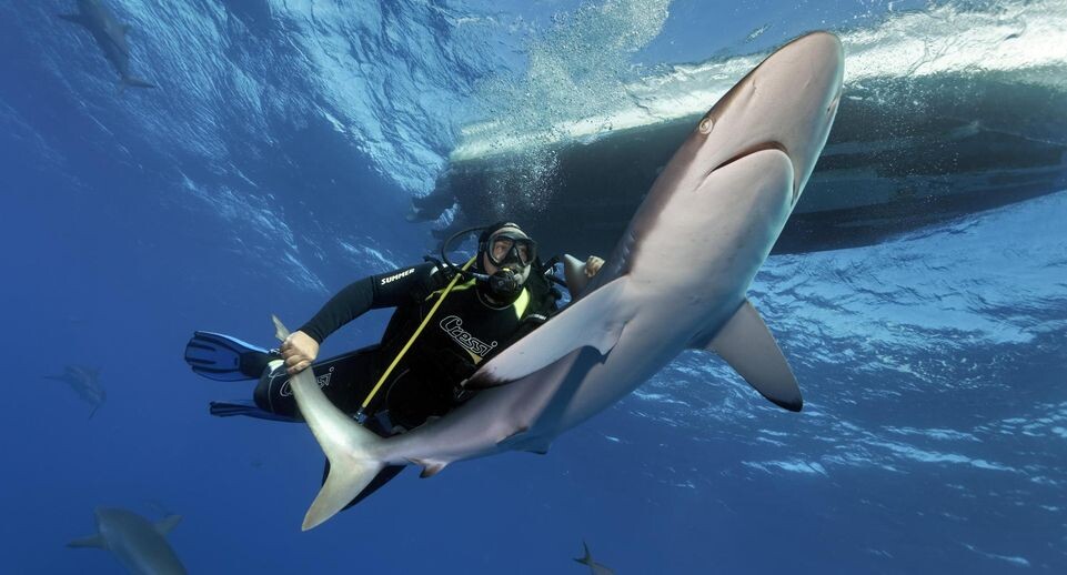    Norbert Probst / www.globallookpress.com