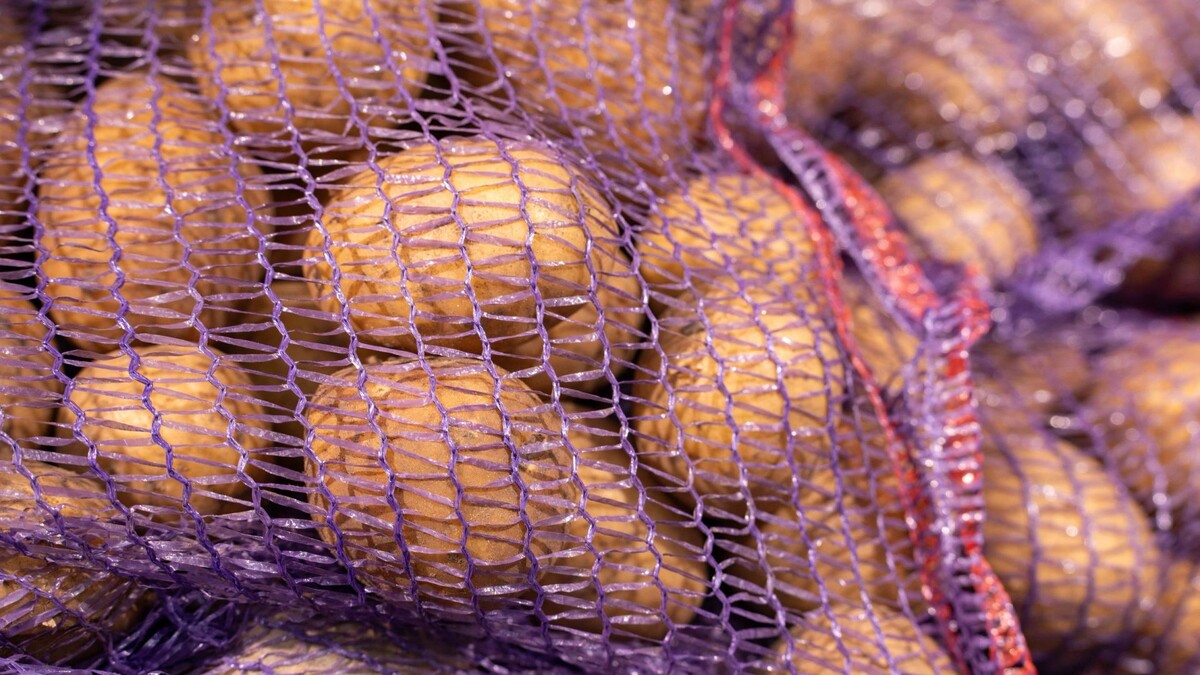    Фото: Сергей Зубков / «Ямал-Медиа»