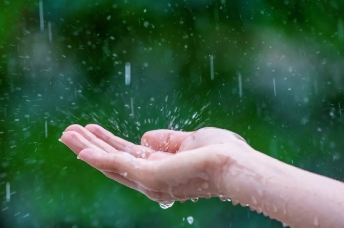    Тепло придёт, дожди останутся: какая погода будет в Хабаровском крае 8 июня