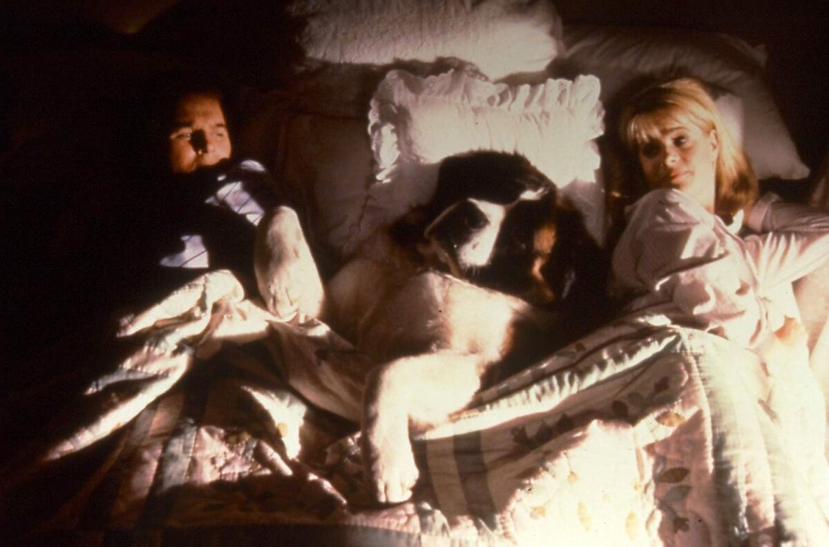 Кадр из фильма "Бетховен" (1991), взят с портала kinopoisk.ru