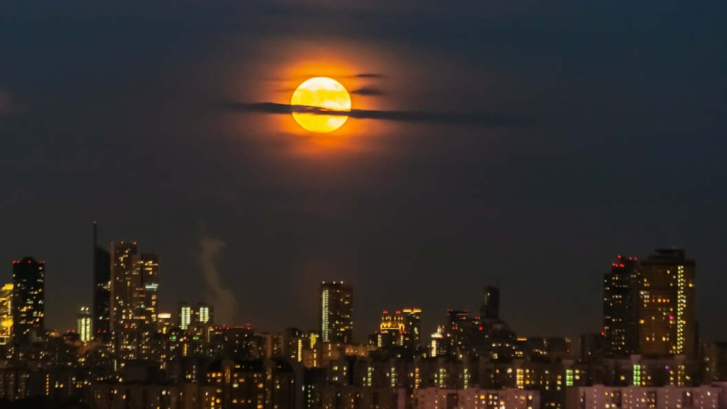    Фото: Roman Denisov/Global Look Press