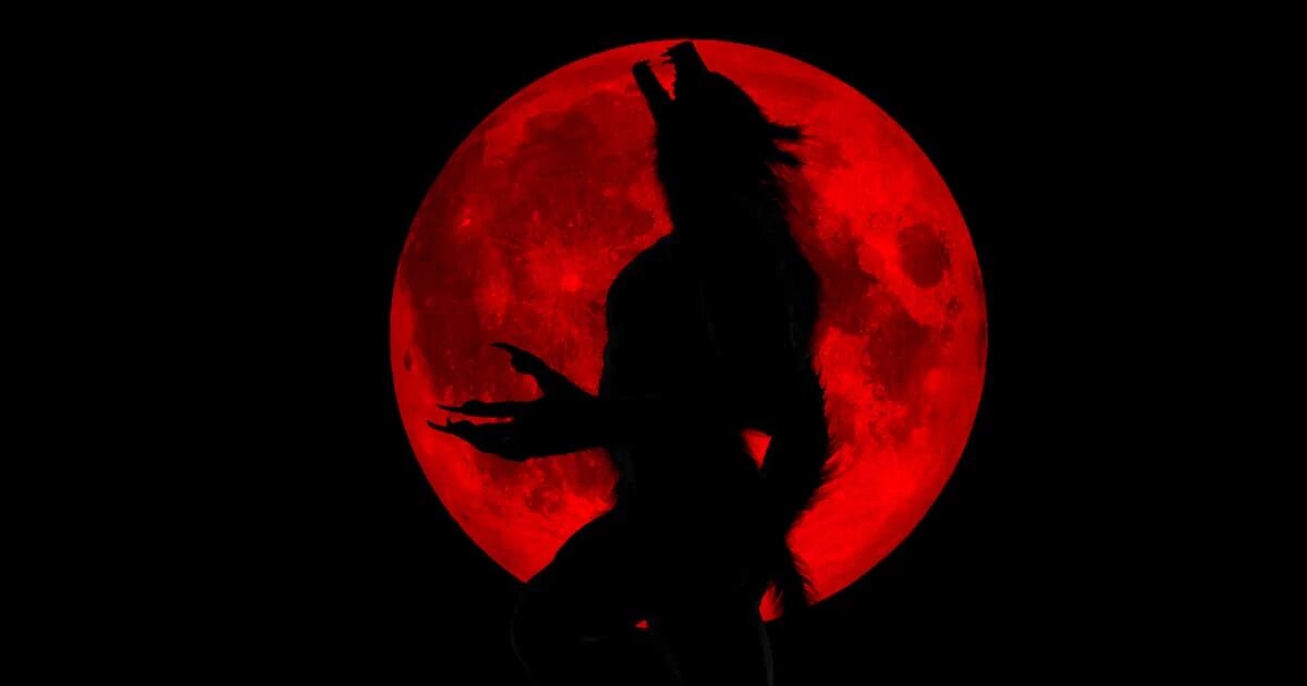 Что стояло за появлением оборотней в Койте? Источник: GARETH / Adobe Stock. 