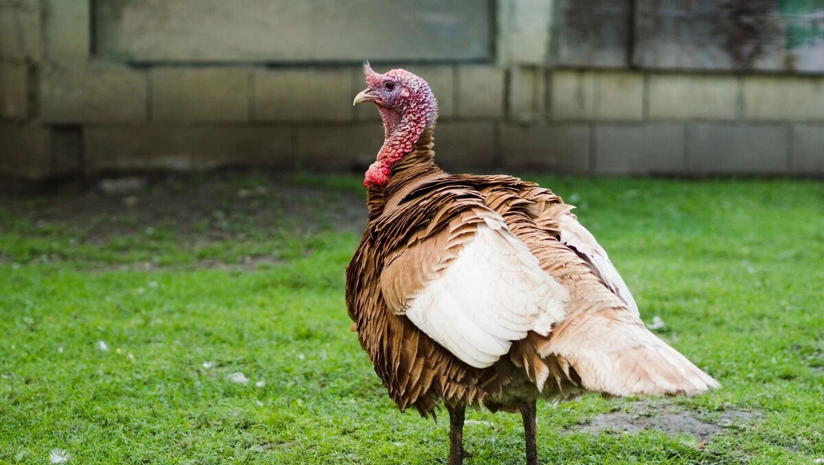     Источник: freepik.com