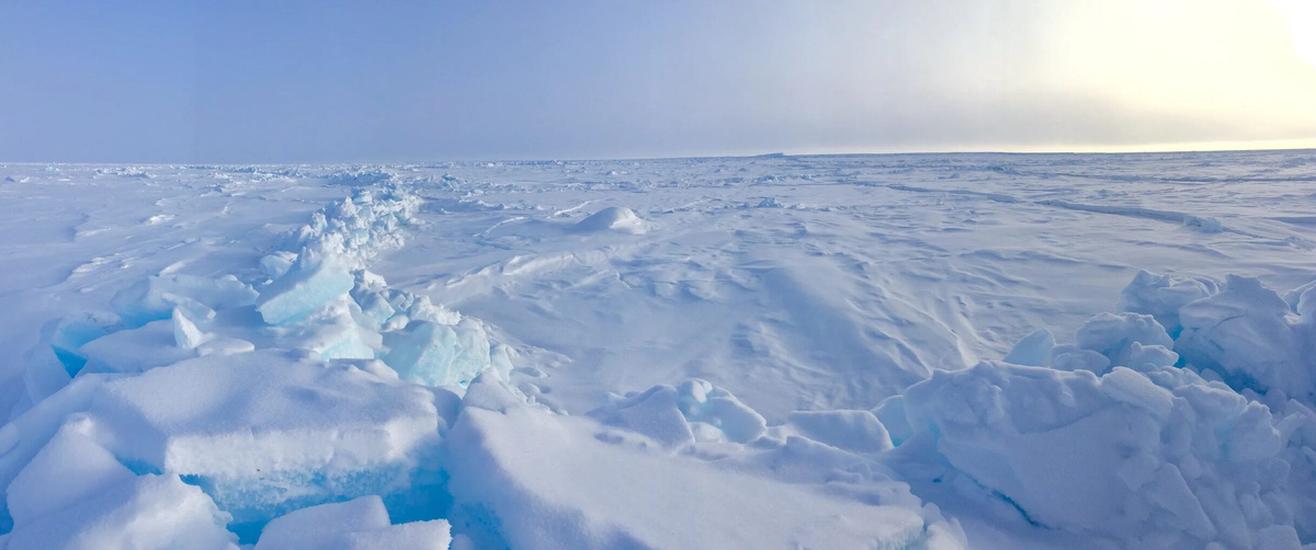 Северный Полюс