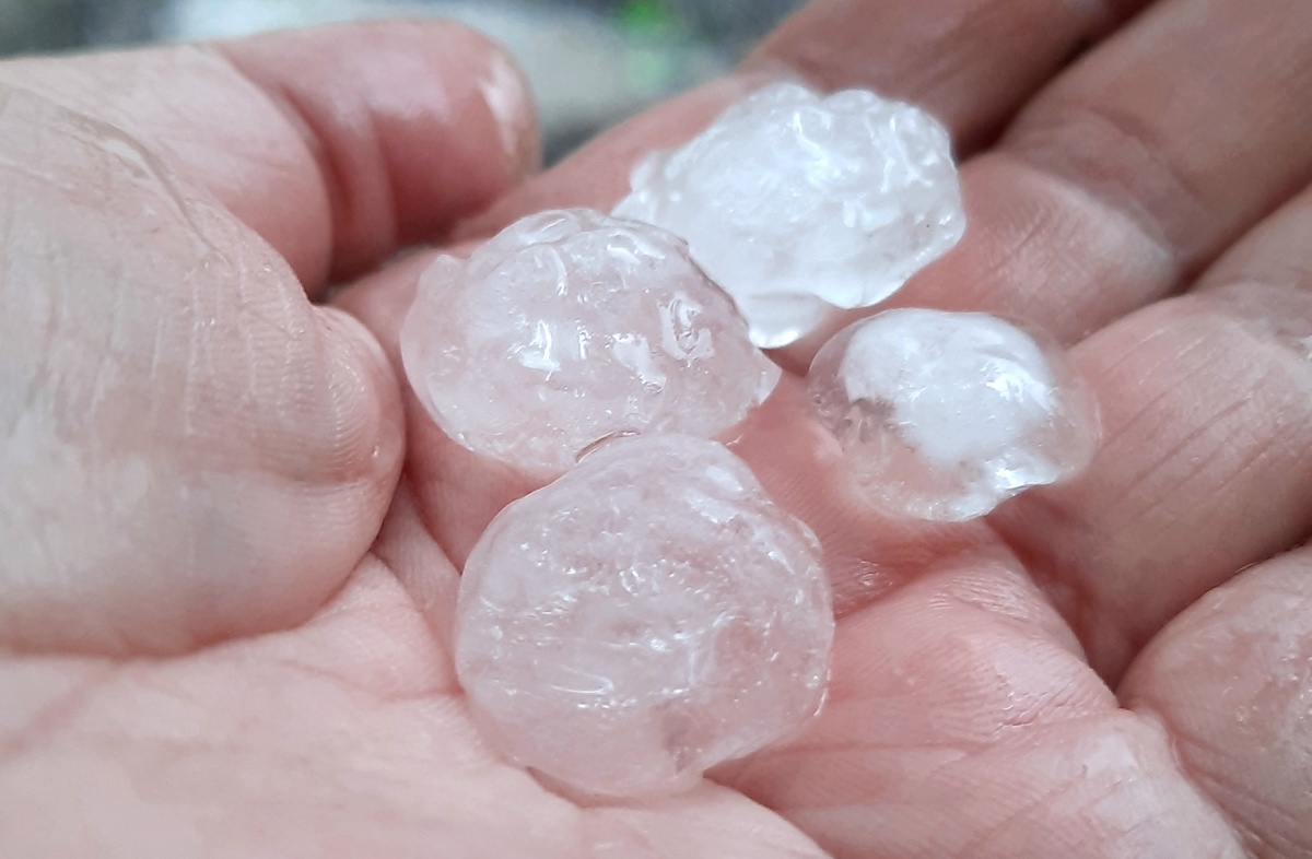 Фото автора.