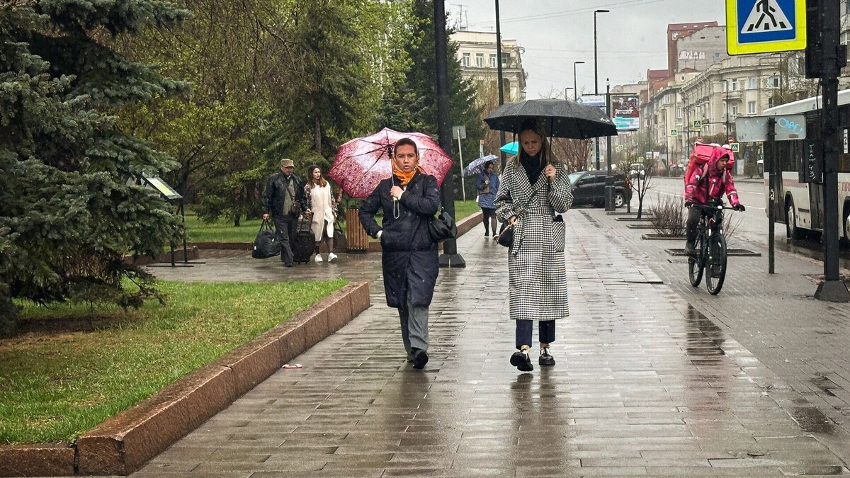     Источник: 1MI