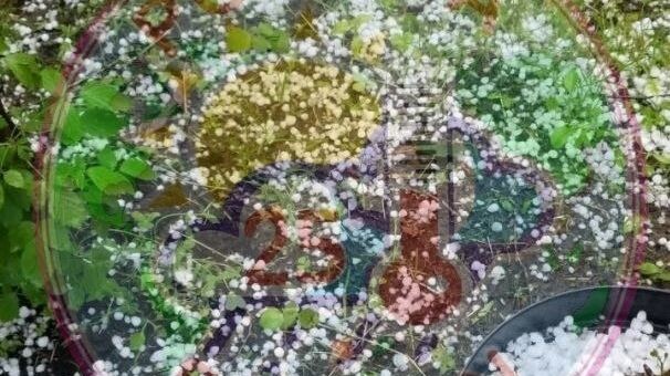     Источник: Погода 25 регион