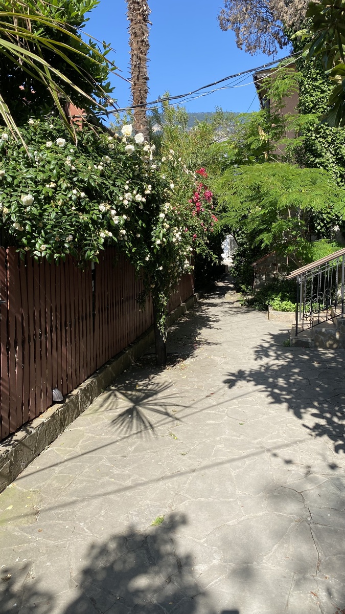 На Чеховке, дорога в бухту Чехова