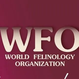 WFO.