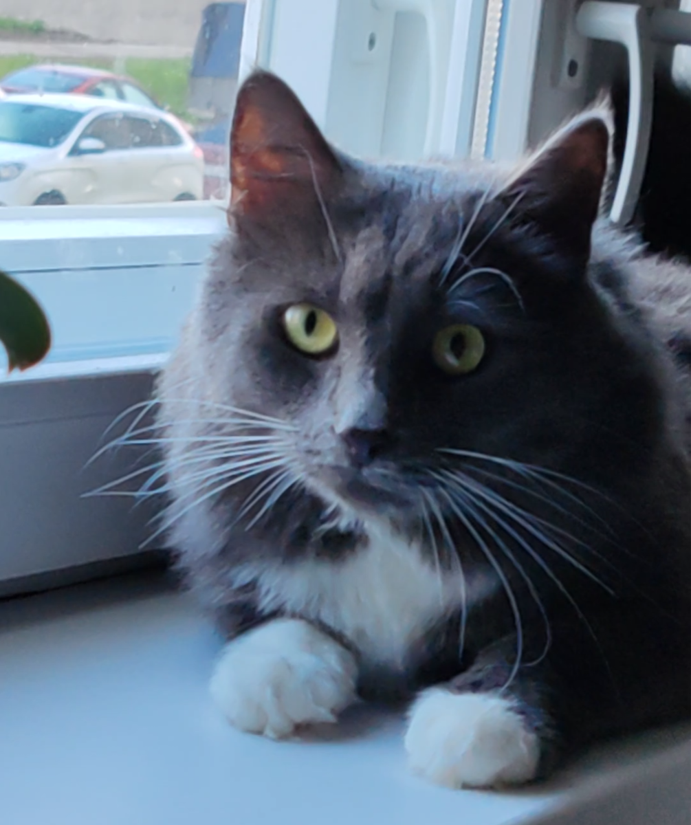 Фото автора канала. 