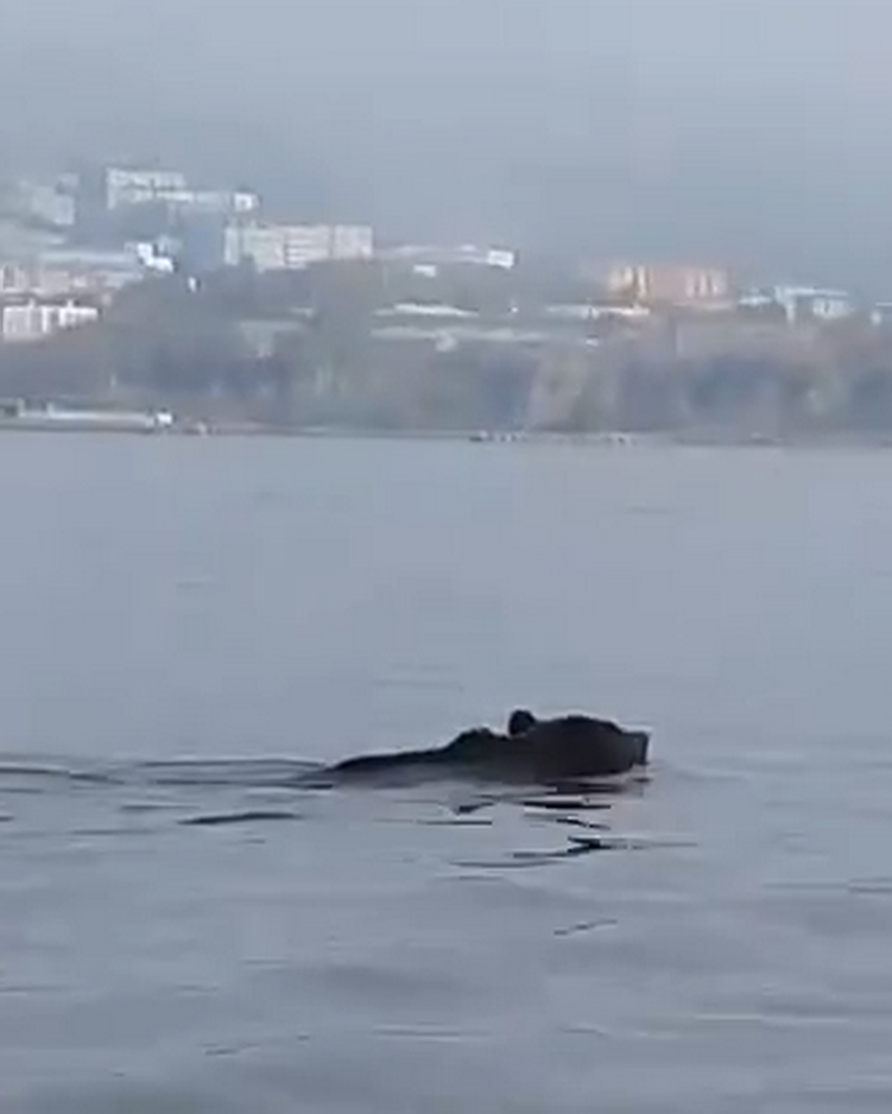 Холодные ванны...