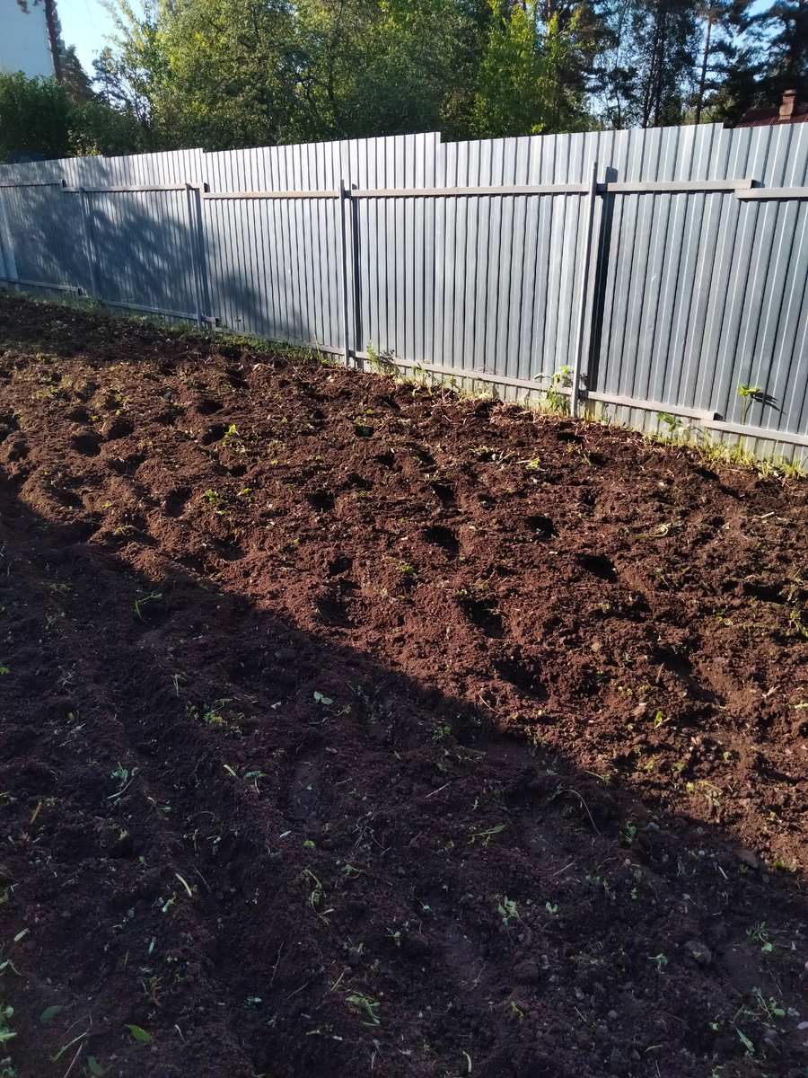 Обработанная почва (с помощью почвофрез)