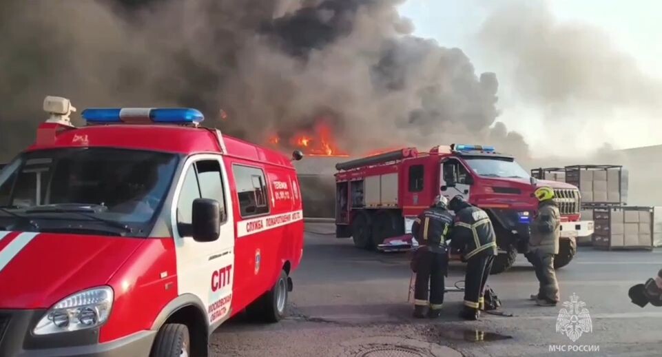    кадр из видео / Пресс-служба МЧС