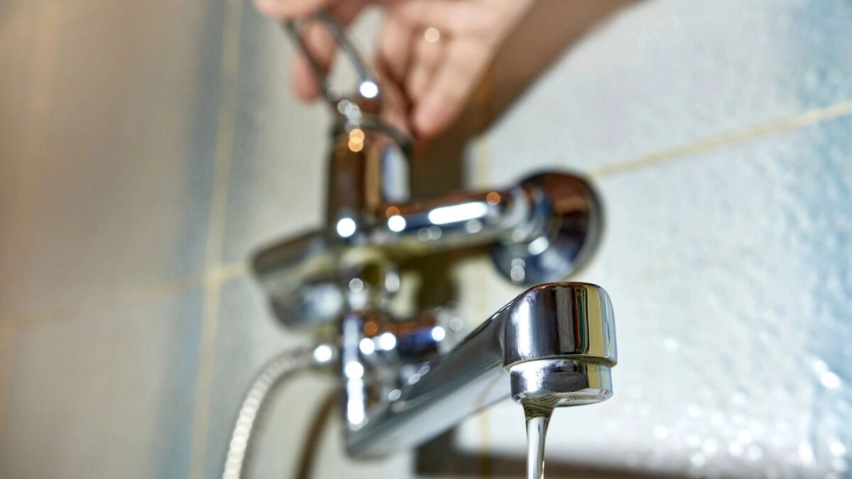    Фото: Vitstyle/Shutterstock/Fotodom