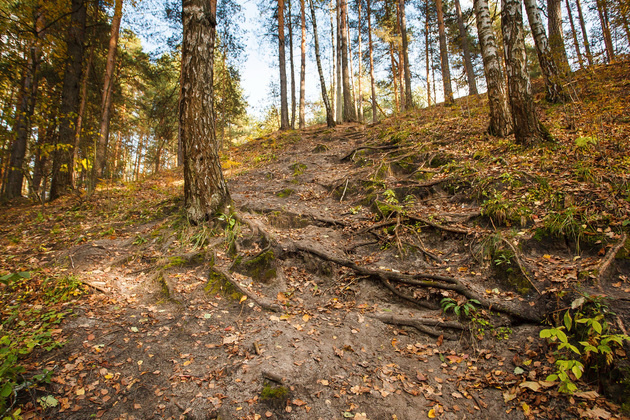 Фото Владимира Чучадеева. 