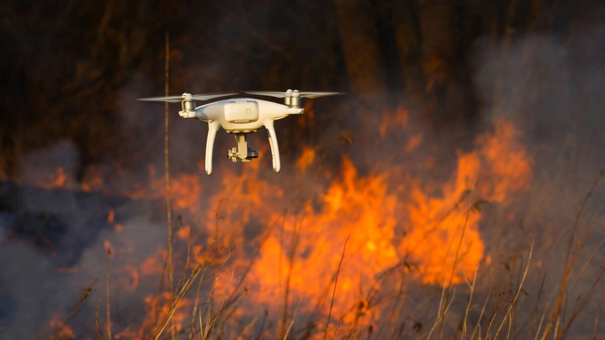    Фото: Konstantin Tronin/Shutterstock/Fotodom