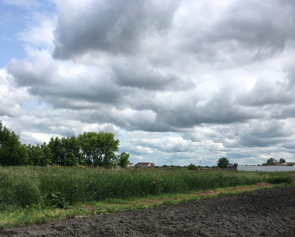 Обкашиваем огород сами, нам так удобно