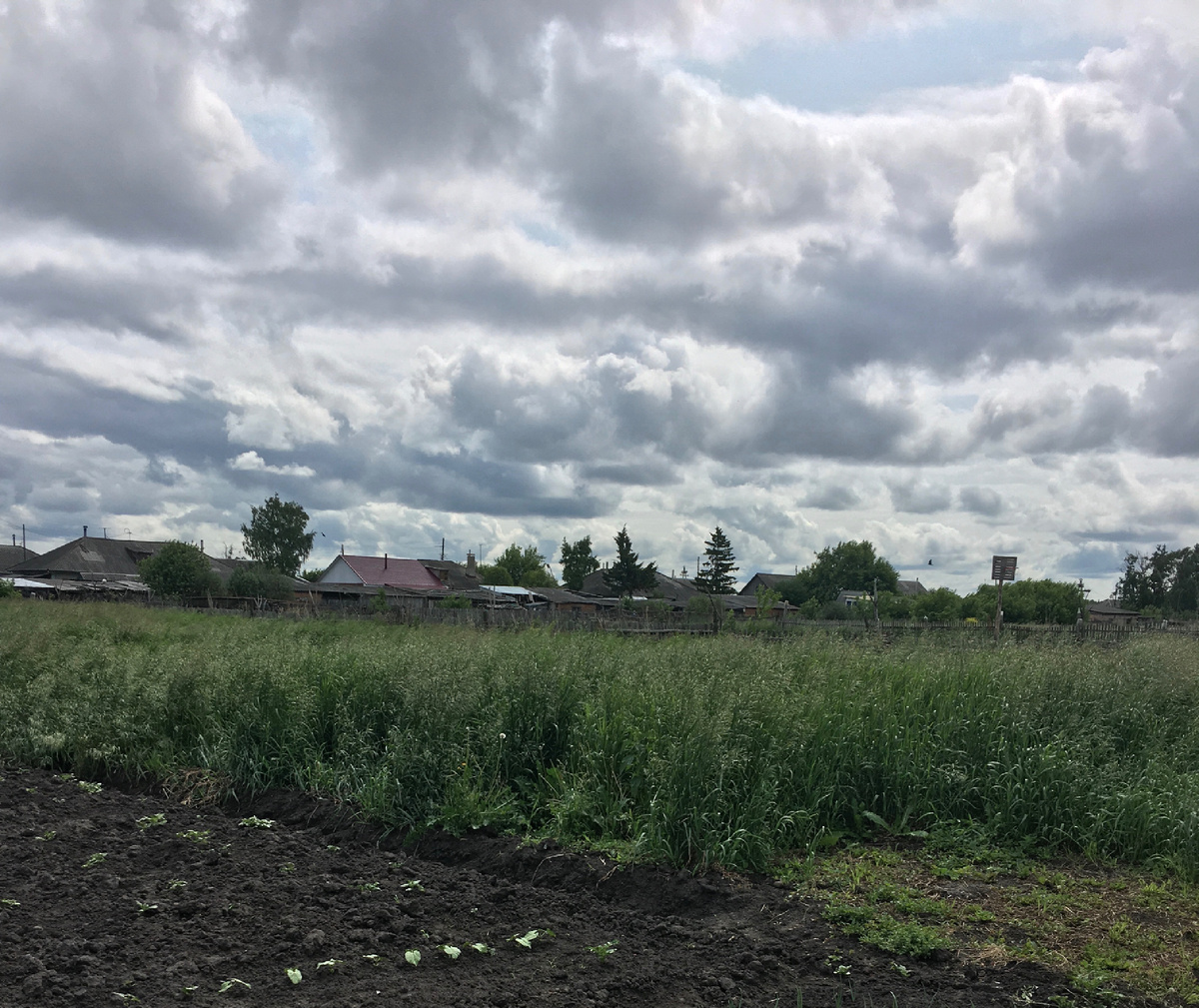 Раннее утро. И тишина