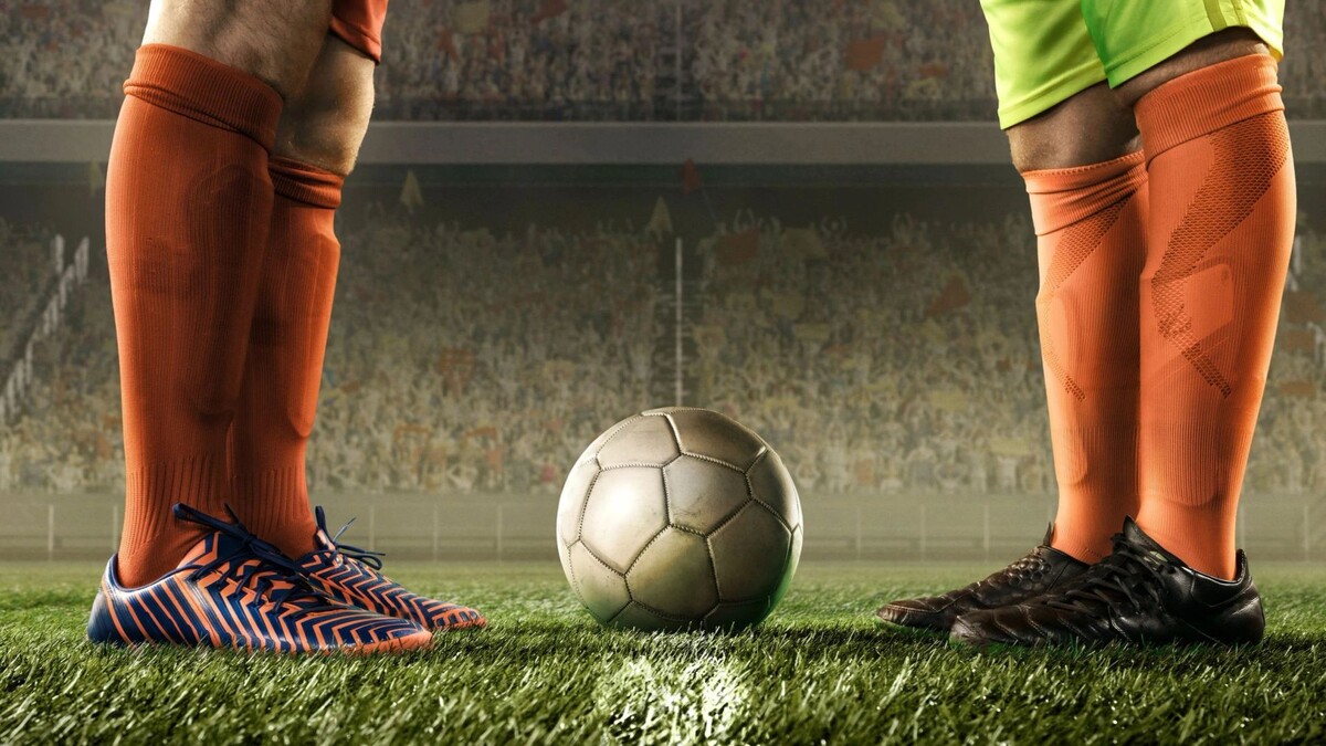    Фото: TndmAgency_Yuliia Zatula/Shutterstock/Fotodom