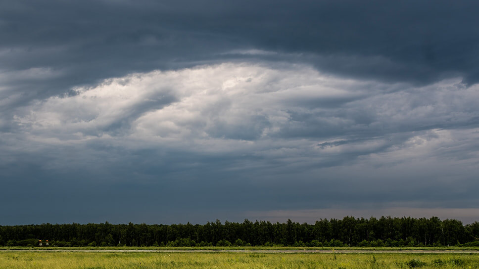 Фото: Олег Харсеев / Коммерсантъ