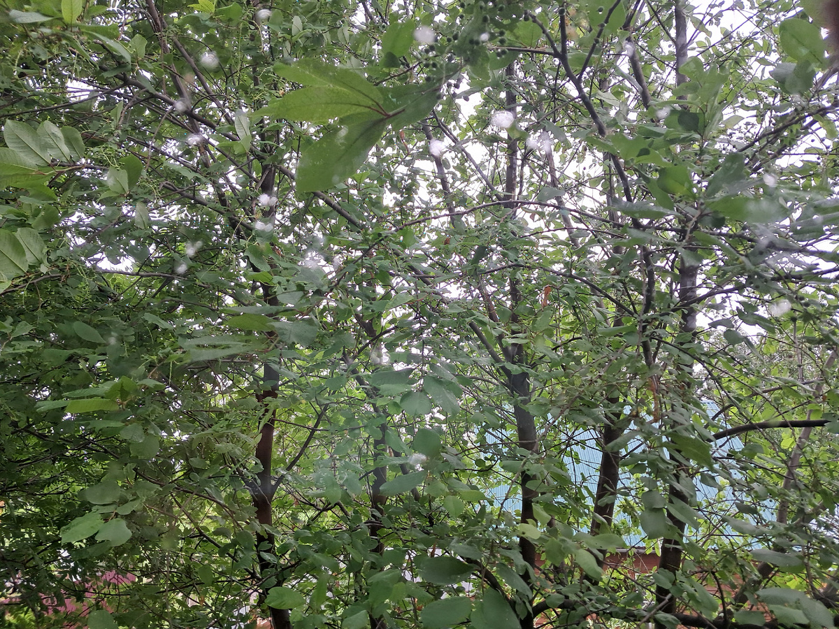 Вид из окна на втором этаже.