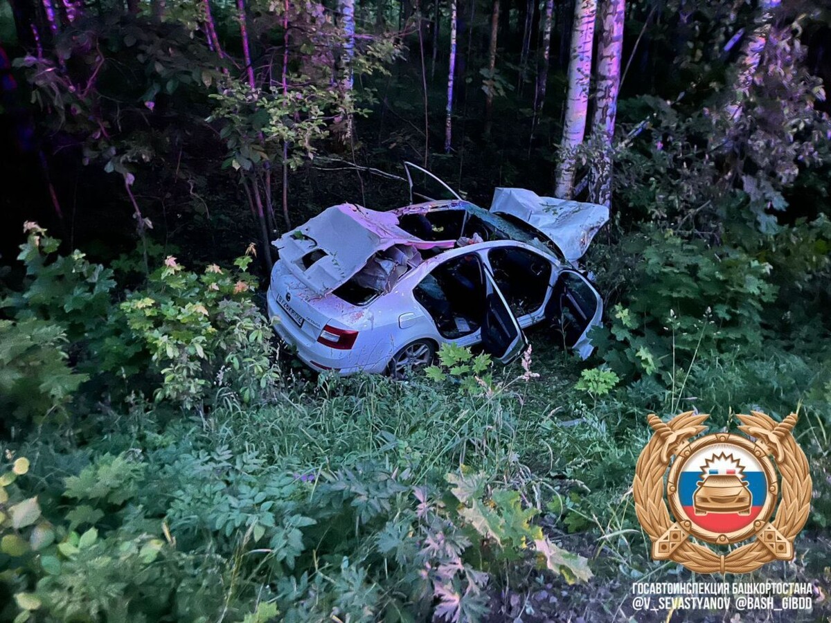     / Источник: © t. me/V_Sevastyanov