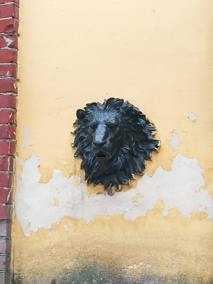 фото Александр Калашников